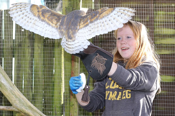 Apprenticeship Ambassador Chooses Dream Career Working with Animals -  Business News Wales