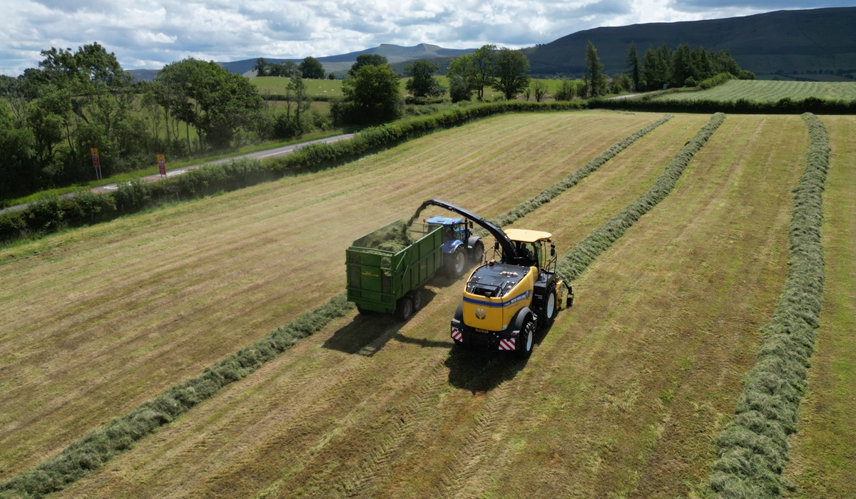 royal welsh grassland event