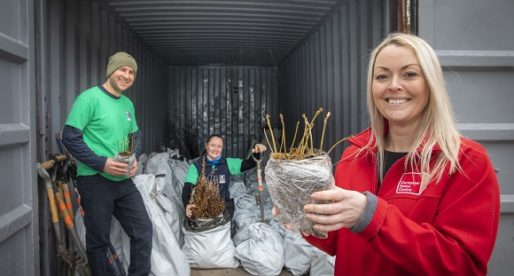 Forest of Rare Trees Kept in the Dark for Major North Wales Planting Project