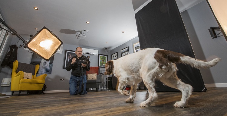 AwardWinning FlintshireBased Pet Photographer Expands