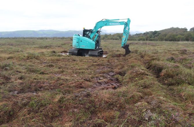 40 miles of Rare Bog Habitats to be Created in Ceredigion
