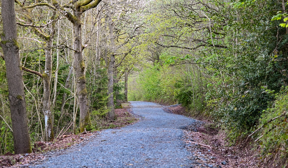 Park-Wood_Talgarth_Paths.