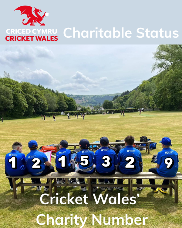 cricket wales
