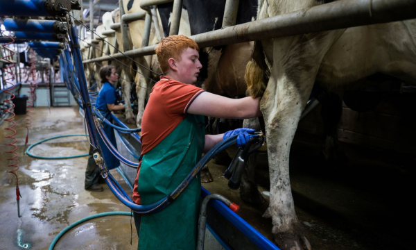 £10m Agricultural College Unveils New Qualifications to Support Future of Farming in Wales