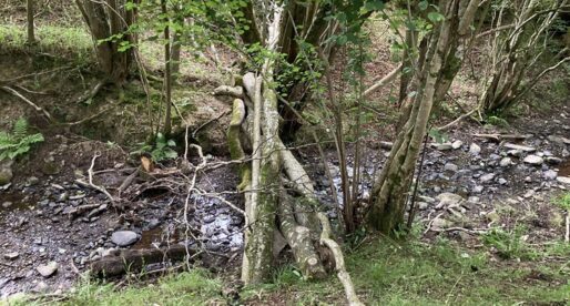 Powys to Benefit from Welsh Government Natural Flood Management Grant