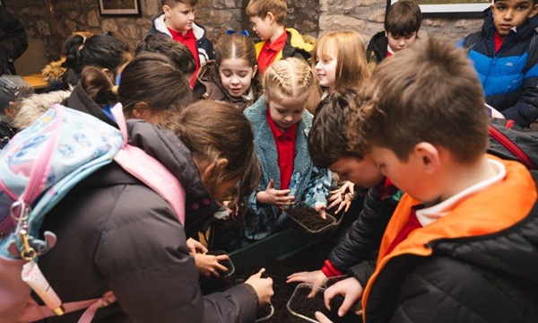 2026_02_27_Torfaen-FoodSummit-Four_2394 (2)