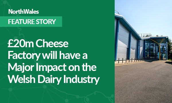 £20m Cheese Factory will have a Major Impact on the Welsh Dairy Industry
