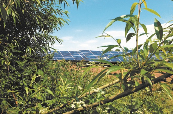 Enso Energy Consultation on Plans for Solar Farm on Anglesey