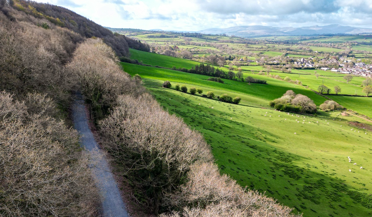 Park-Wood_Talgarth_Paths.