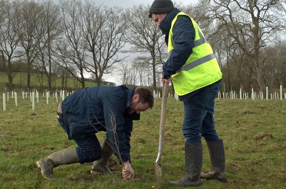 Tree Planting Company Links Landowners with Public to Slow Climate Change