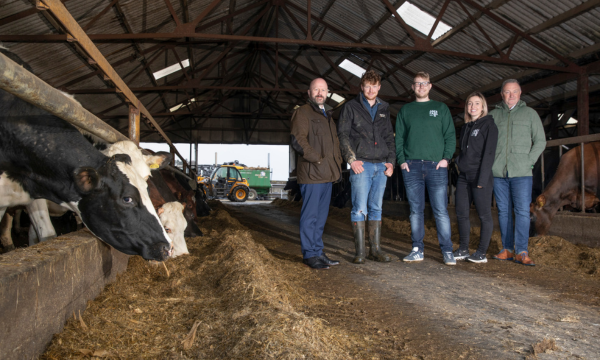 North Wales Whisky Maker Keeps the Cows Happy on the Road to Net Zero