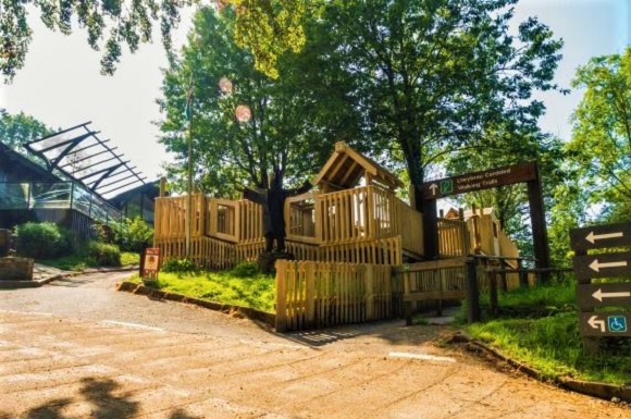 Tourism Business Opportunity at the Heart of Afan Forest Park