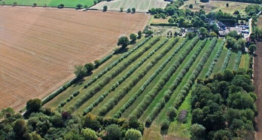 Fair Funding and a Flexible Approach Can Make the Tree Cover Requirement Achievable for Most Farms