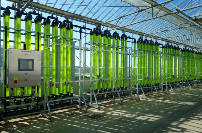 New Study Shows How Microalgae Could Be Crucial To Circular Economy