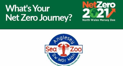 Anglesey Sea Zoo: What’s your Net Zero Journey?