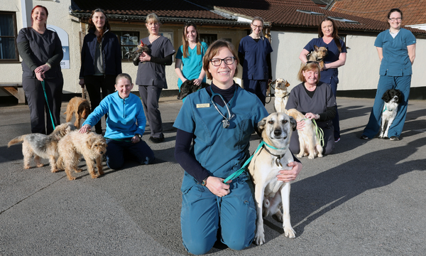 Archway Vets Transitions into an Employee Owned Business