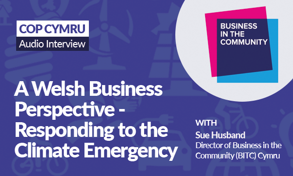 A Business Perspective – How Wales is Responding to the Climate Emergency