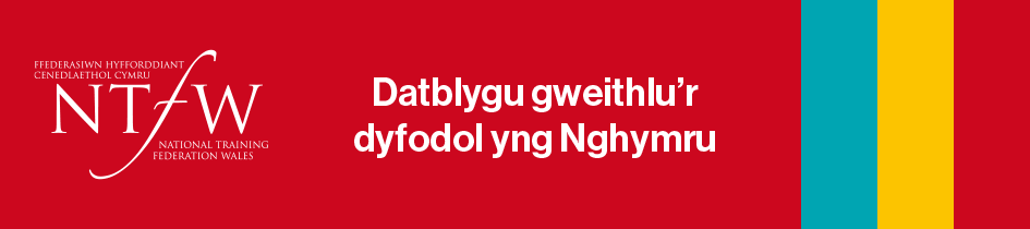 BNW-2024-Newsfeed-945x210px image