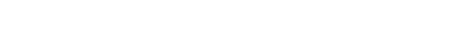 BNW High Res Logo_white