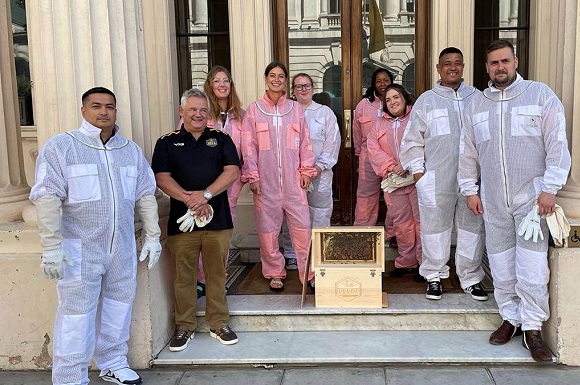 Bee1 Sends 20,000 Welsh Bees to London’s Pall Mall