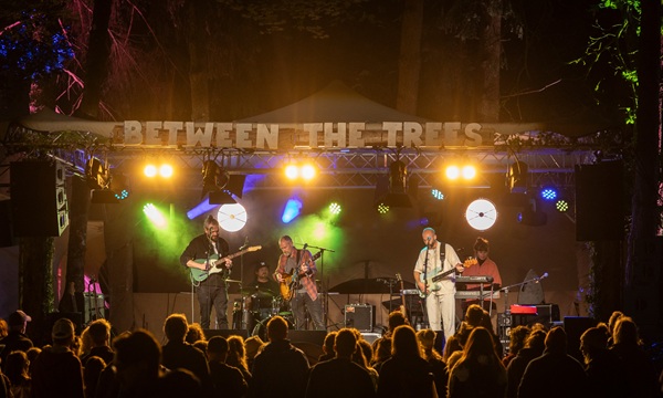 Between the Trees Festival_cropped