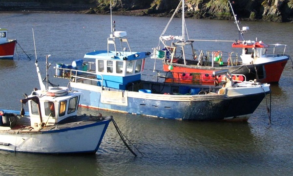 £1m Boost for Marine, Fisheries and Aquaculture Industry in Wales