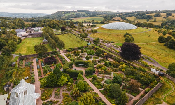 Botanic Garden Garden July 2023-3