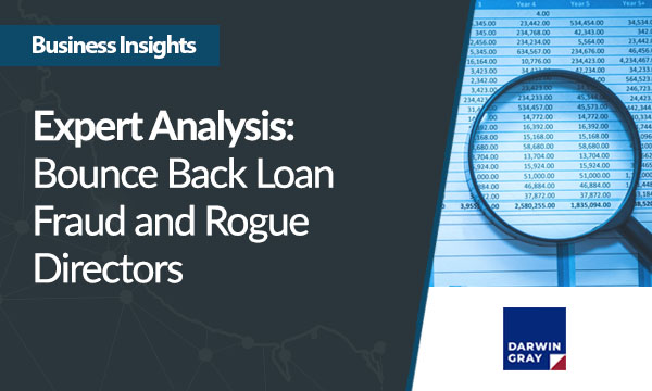 Expert Analysis: Bounce Back Loan Fraud and Rogue Directors