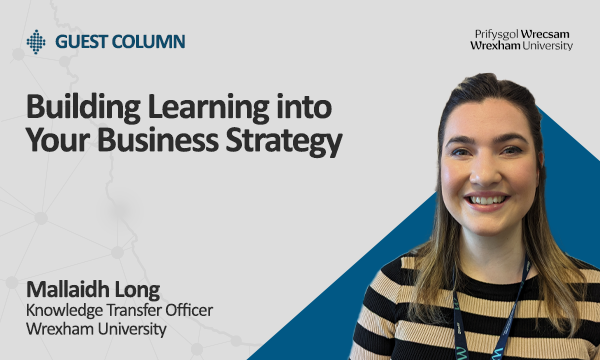 Learning Into Your Business Strategy
