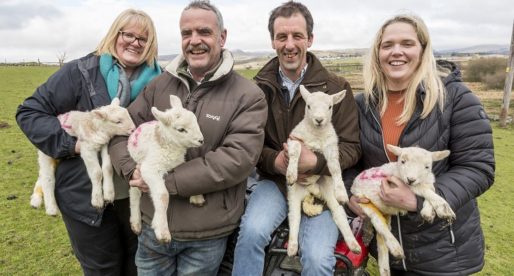 New Family Meat Business Saves Snowdonia Abattoir