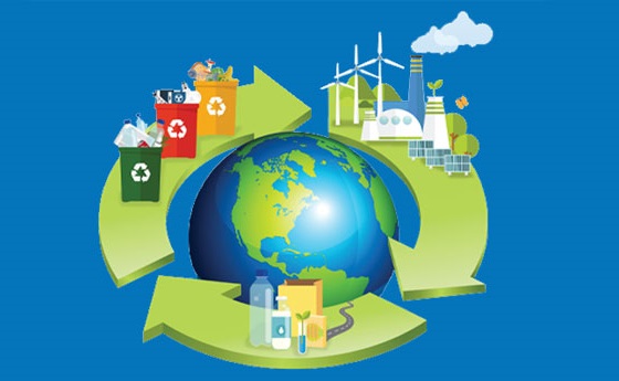 What is the Circular Economy and What Does it Mean for your Organisation?