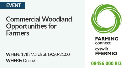 EVENT: Commercial Woodland Opportunities for Farmers