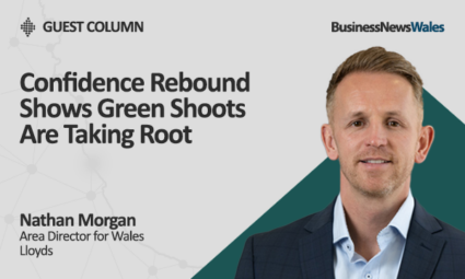 Confidence Rebound Shows Green Shoots Are Taking Root