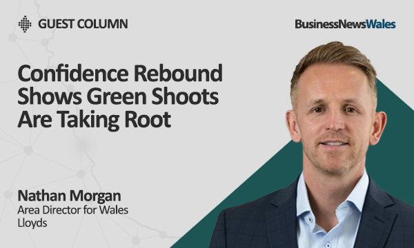 Confidence Rebound Shows Green Shoots Are Taking Root