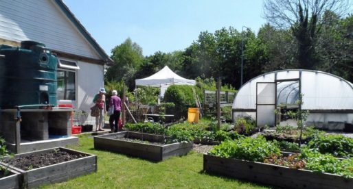 Wales ‘Grows for it’ with £130,000 Investment in More Allotments