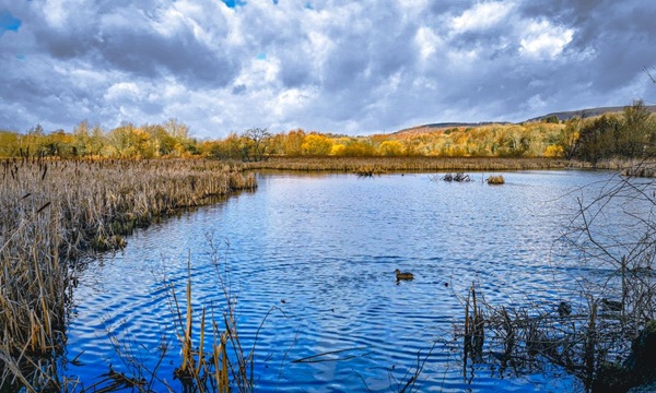 Cwmbach Community Wetlands, Credit Robert Hollidge