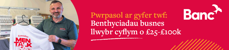 Development Bank Of Wales