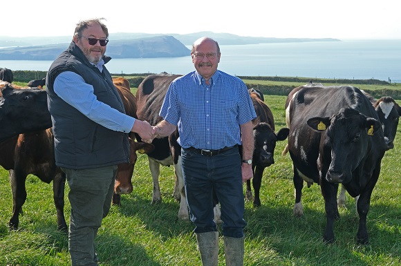 Welsh Organic Dairy Brands Collaborate for Growth
