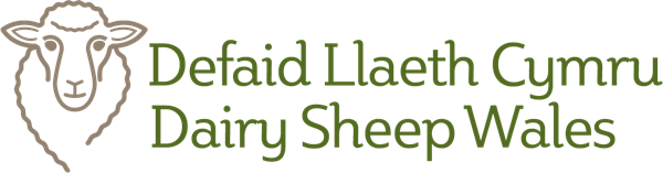 Dairy Sheep Master Logo (1)