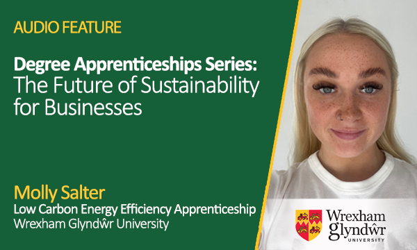 Degree Apprenticeships: The Future of Sustainability for Businesses
