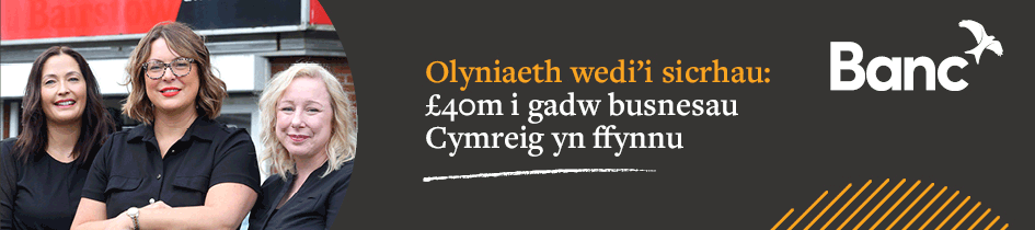 Development Bank Of Wales