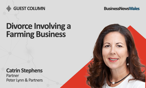 Divorce Involving a Farming Business - finance