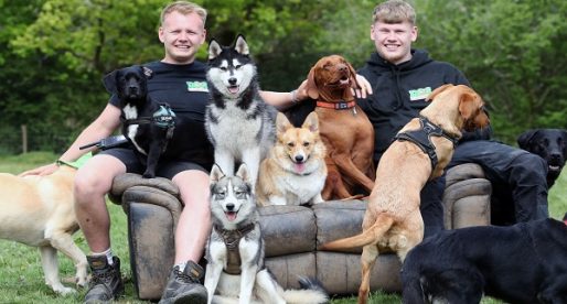 Young Entrepreneur First Year Success with Dog Activity Centre Business