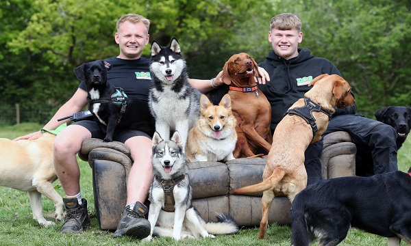Young Entrepreneur First Year Success with Dog Activity Centre Business