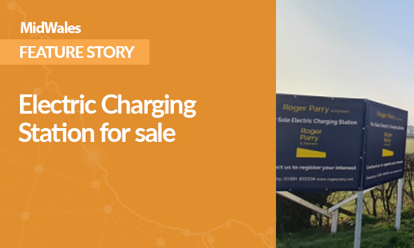 Electric Charging Station for Sale