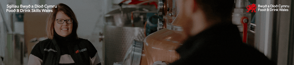 FD-Skills-Wales-945-x-210-banner image