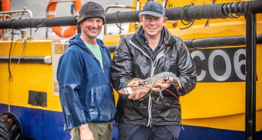 Claw Bands Help Welsh Lobsters Stand Out in Home Crowd