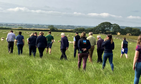 Farmers Gather to Hear Results from Major Projects