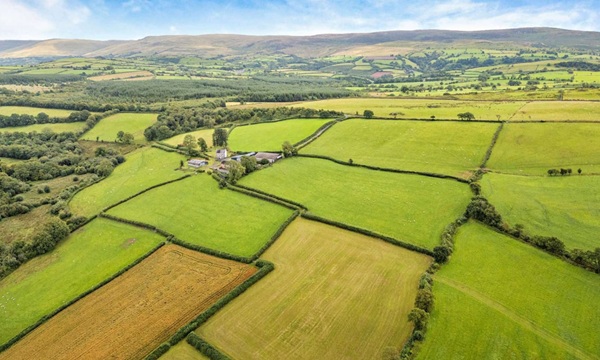 Farmland - savills - Ffairfach, Near Llandeilo, Carmarthenshire,