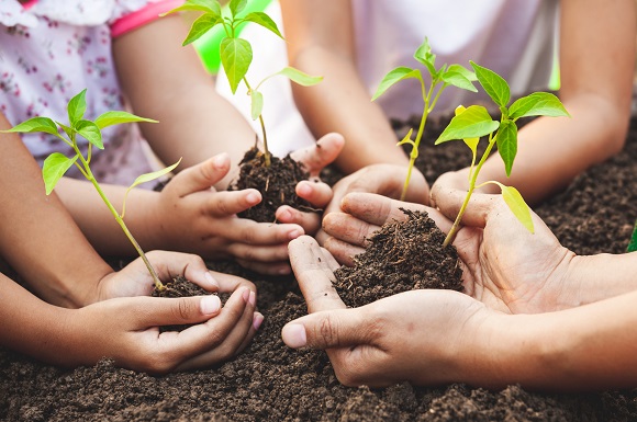 Welsh Government Launches ‘Plant a Tree’ Scheme
